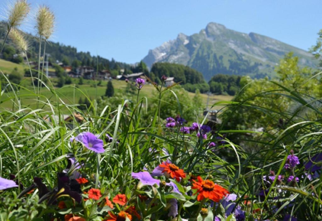 Location D'Appartements - La Residence La Clusaz Exteriér fotografie