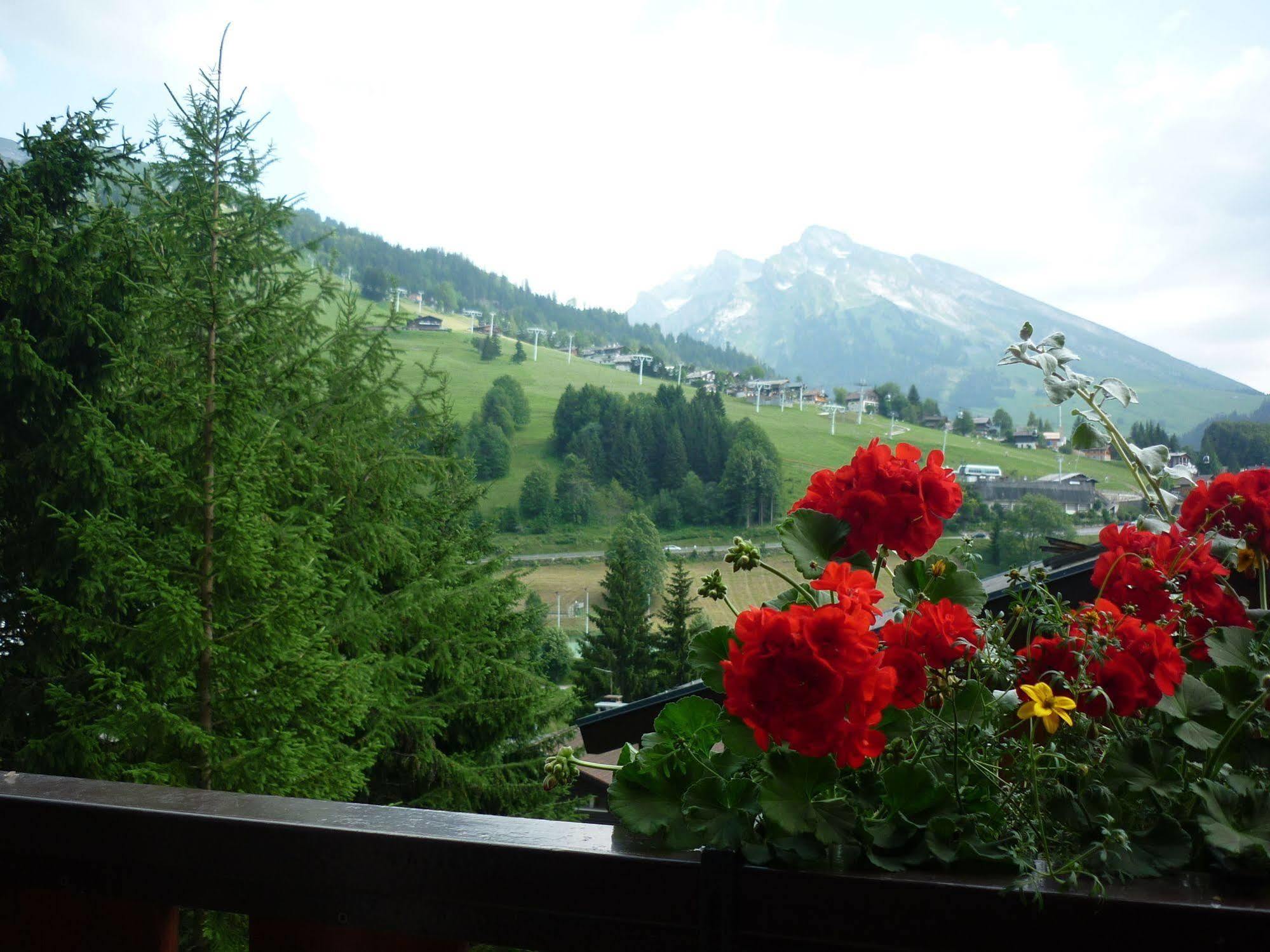 Location D'Appartements - La Residence La Clusaz Exteriér fotografie